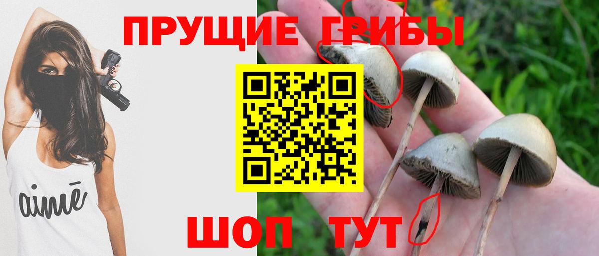 Псилоцибиновые грибы мухоморы  как найти закладки  Бахчисарай  Вход с VPN 